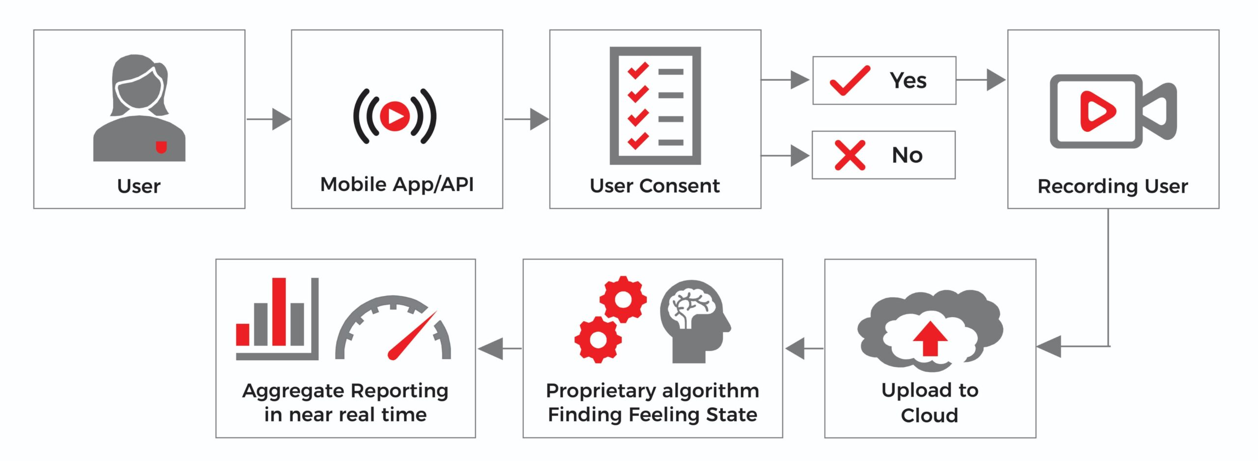 How Leap Work?